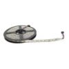 12V RGB 5050 SMD LED Strip- 5Meter - Image 4